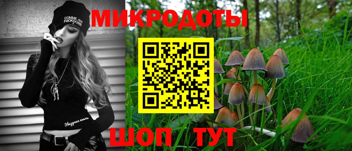 Галлюциногенные грибы MAGIC MUSHROOMS Елец