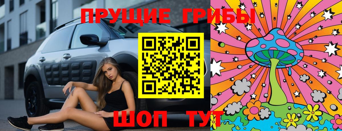 Елец  Псилоцибиновые грибы GOLDEN TEACHER  Вход с VPN  Галлюциногенные грибы GOLDEN TEACHER 